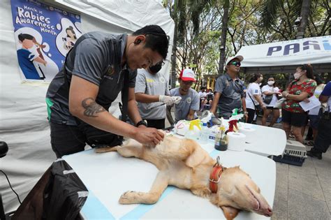 Pasig City kicks off Rabies Awareness Month with free .